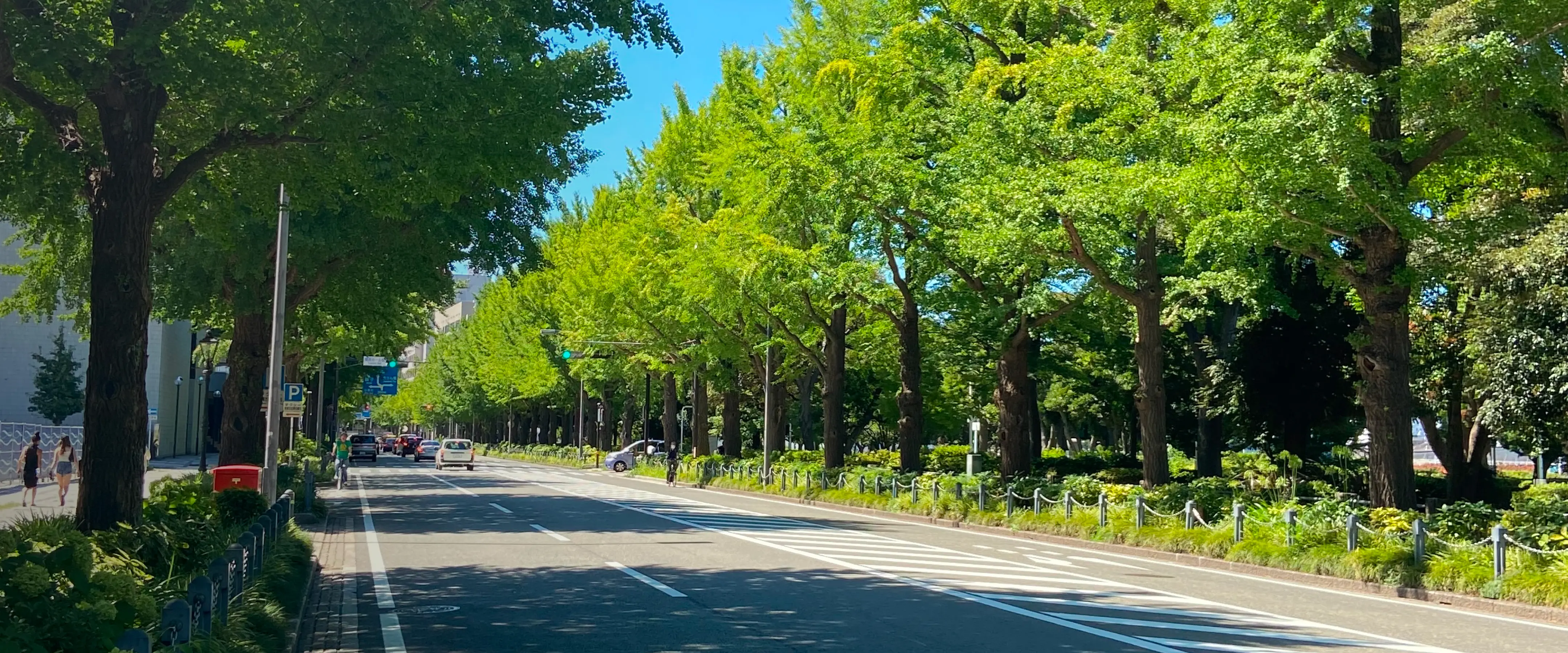 ROAD MANAGEMENT